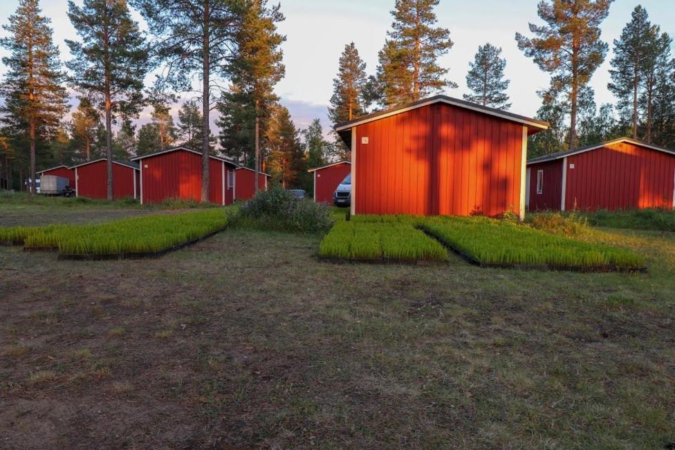 Pajala Cottages Route 99 Extérieur photo